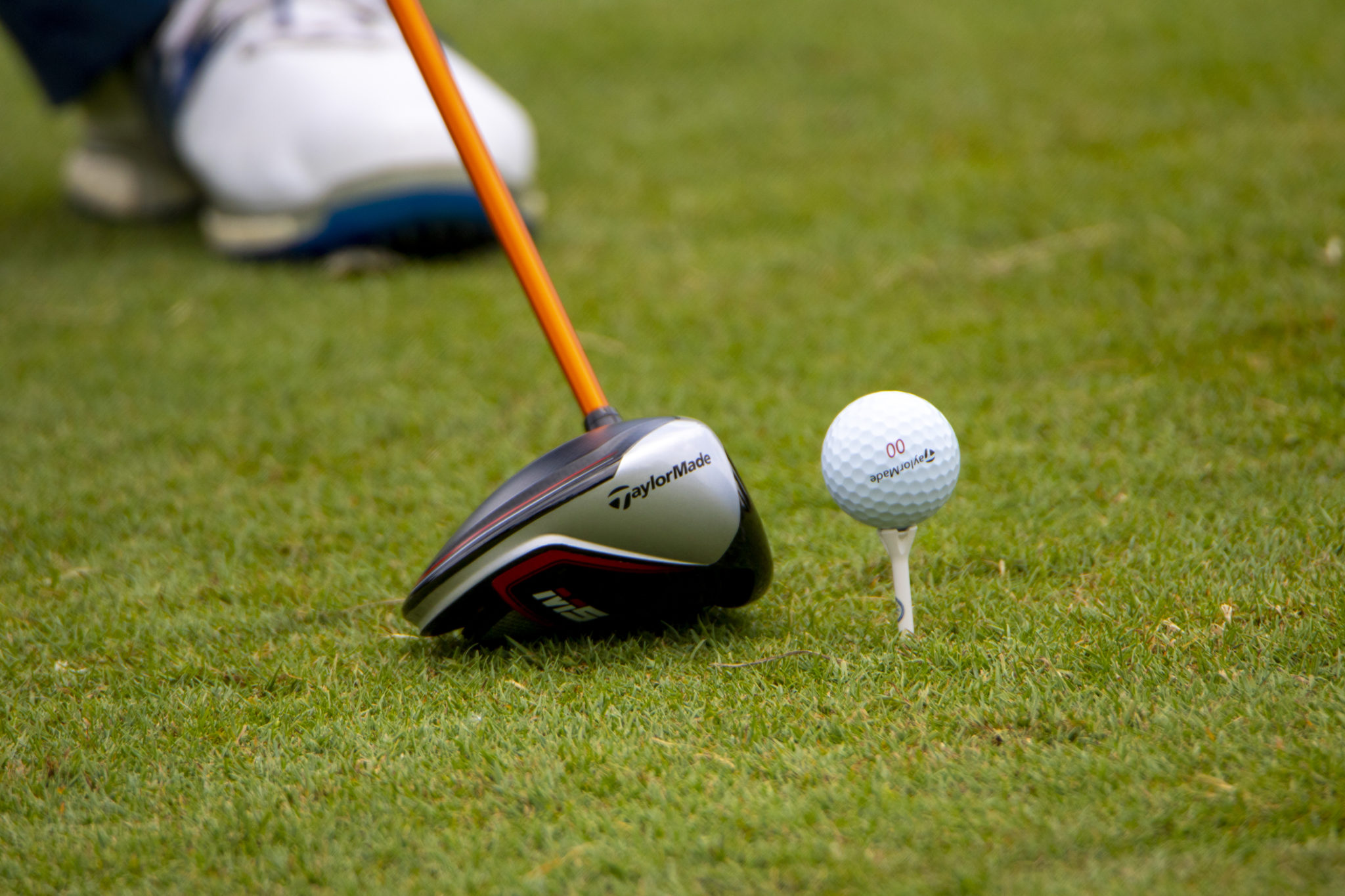 what does whs index mean in golf